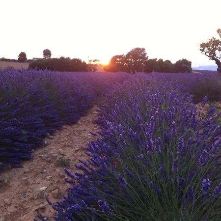 酒店 Le Petit Caboulot En Pleine Nature 2*