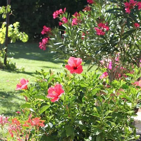 Le Petit Caboulot En Pleine Nature Vaumeilh